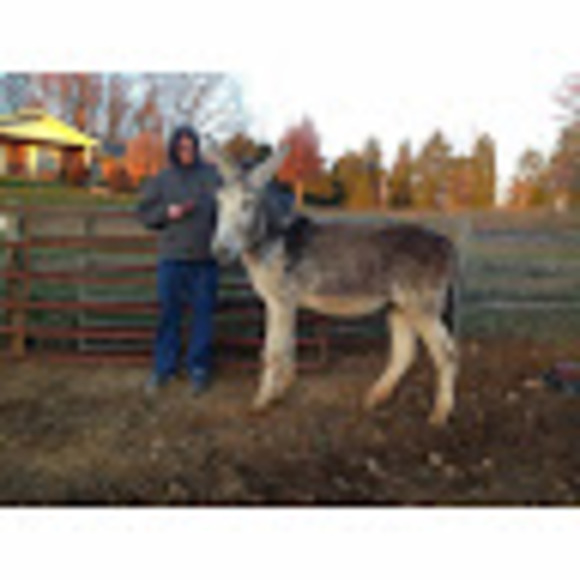 Meet your Posher, Brent - Picture 1 of 1